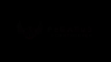 Pegasus Tech Ventures